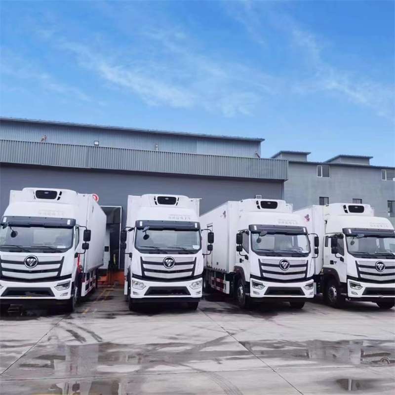 左贡县新龙县进仓物流：多元专线直达运输探秘